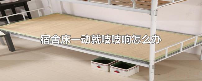 宿舍床一动就吱吱响怎么办 宿舍床一动就吱吱响怎么办