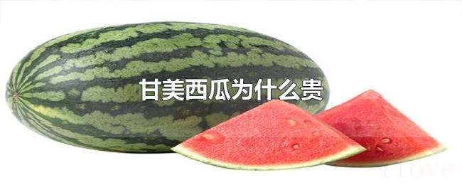 甘美西瓜为什么贵 甘美西瓜为什么贵