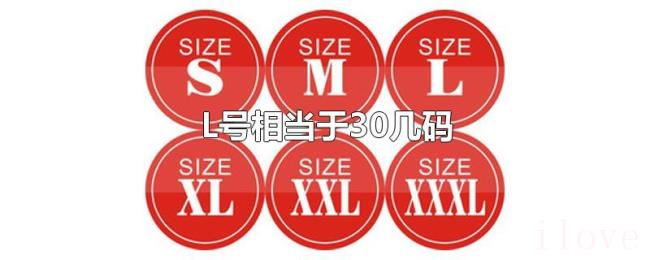 L号相当于30几码 L号相当于30几码