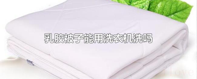 乳胶被子能用洗衣机洗吗 乳胶被子能用洗衣机洗吗