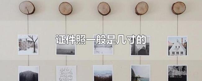 证件照一般是几寸的 证件照一般是几寸的