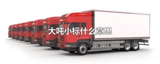 大吨小标什么意思 大吨小标什么意思