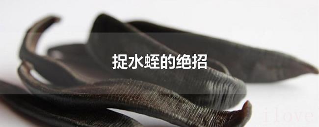 捉水蛭的绝招 捉水蛭的绝招