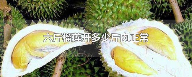 六斤榴莲开多少斤肉正常 六斤榴莲开多少斤肉正常