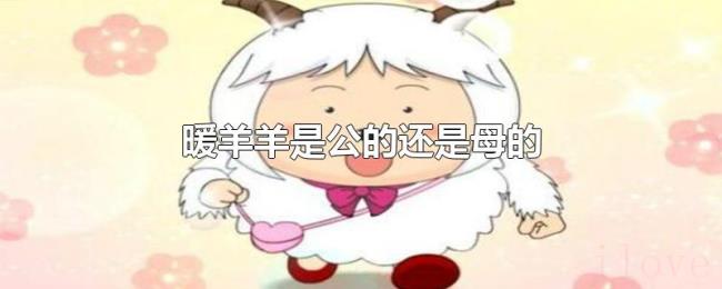 暖羊羊是公的还是母的 暖羊羊是公的还是母的