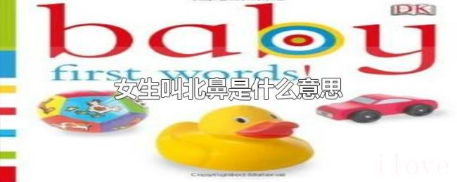 女生叫北鼻是什么意思 女生叫北鼻是什么意思