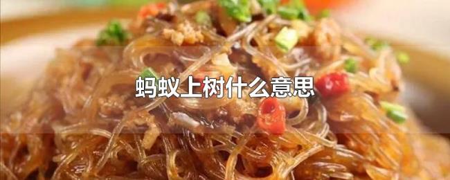 蚂蚁上树什么意思 蚂蚁上树什么意思