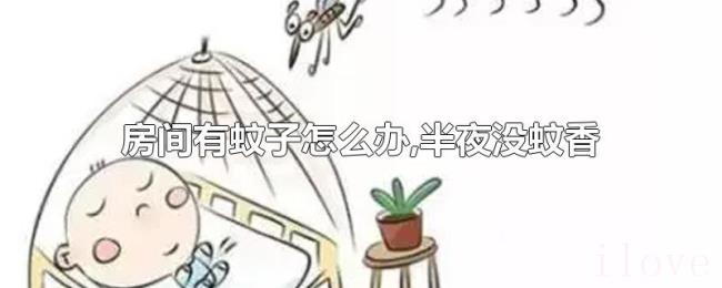 房间有蚊子怎么办,半夜没蚊香