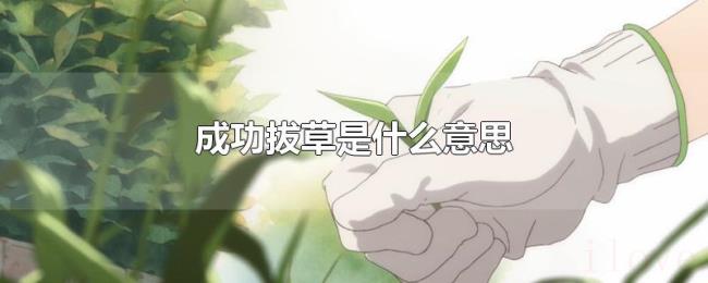 成功拔草是什么意思 成功拔草是什么意思