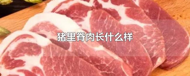 猪里脊肉长什么样 猪里脊肉长什么样