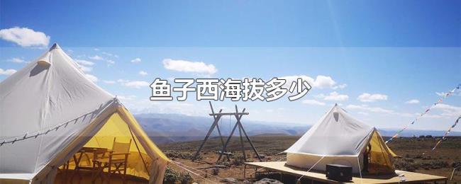鱼子西海拔多少 鱼子西海拔多少
