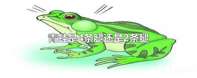青蛙是4条腿还是2条腿 青蛙是4条腿还是2条腿