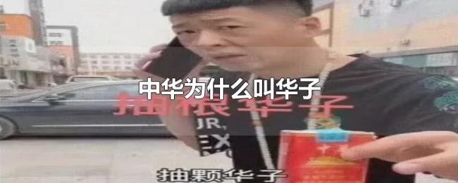 中华为什么叫华子 中华为什么叫华子
