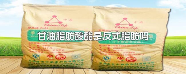 甘油脂肪酸酯是反式脂肪吗