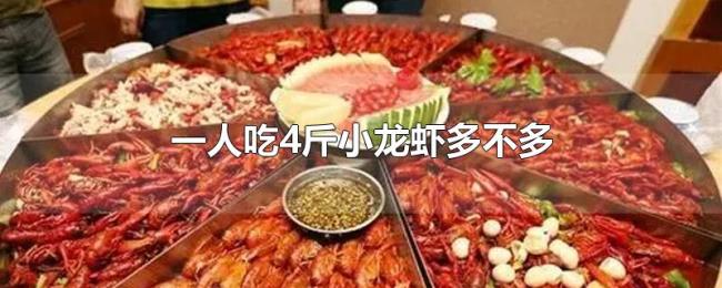 一人吃4斤小龙虾多不多