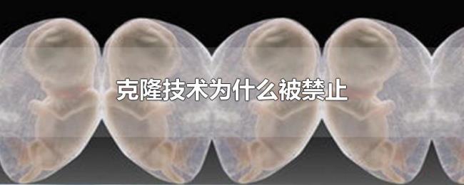 克隆技术为什么被禁止 克隆技术为什么被禁止