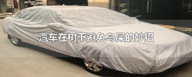 汽车在树下避免鸟屎的妙招