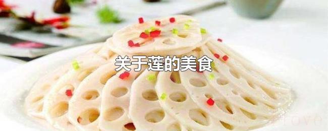 关于莲的美食 关于莲的美食