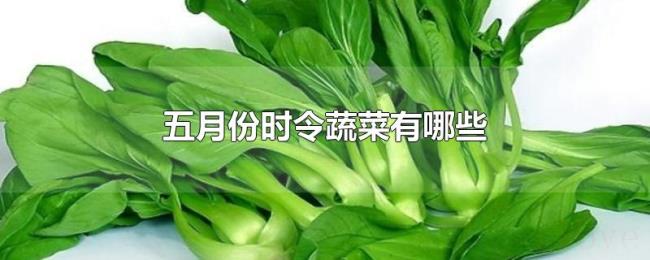 五月份时令蔬菜有哪些