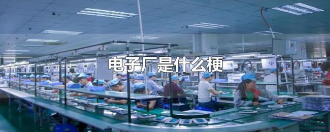 电子厂是什么梗 电子厂是什么梗