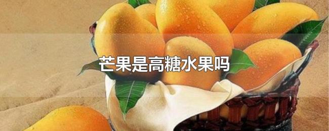 芒果是高糖水果吗