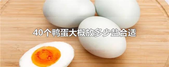 40个鸭蛋（大概放多少盐合适）