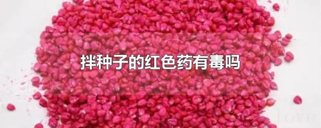 拌种子的红色药有毒吗 拌种子的红色药有毒吗