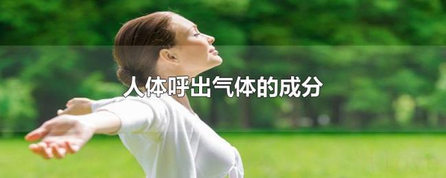 人体呼出气体的成分 人体呼出气体的成分