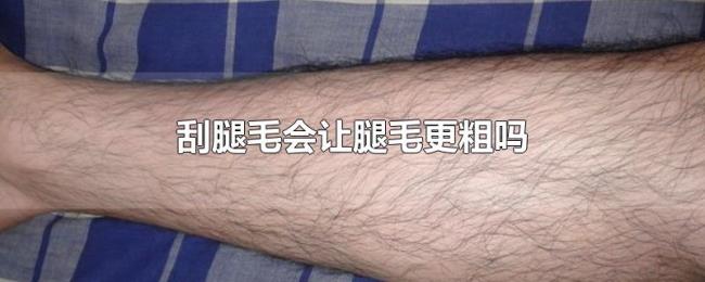 刮腿毛会让腿毛更粗吗 刮腿毛会让腿毛更粗吗