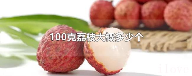 100克荔枝大概多少个