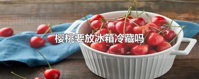 樱桃要放冰箱冷藏吗