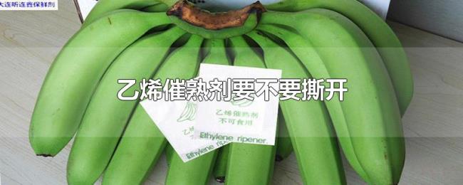乙烯催熟剂要不要撕开