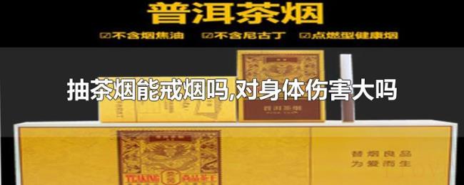 抽茶烟能戒烟吗,对身体伤害大吗 抽茶烟能戒烟吗,对身体伤害大吗