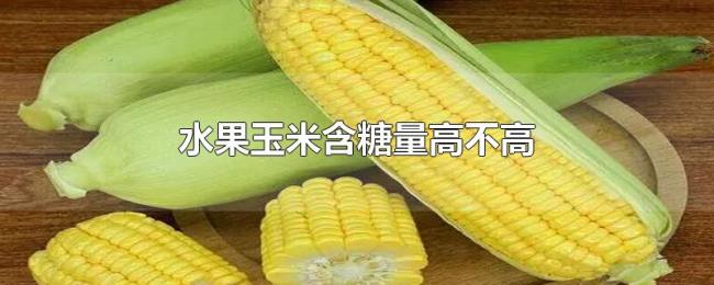 水果玉米含糖量高不高