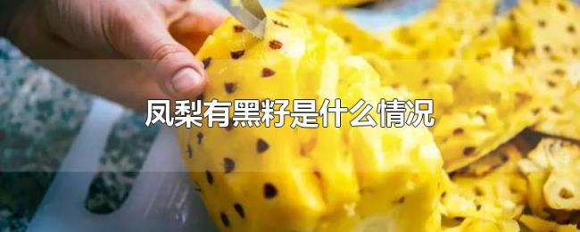 凤梨有黑籽是什么情况 凤梨有黑籽是什么情况
