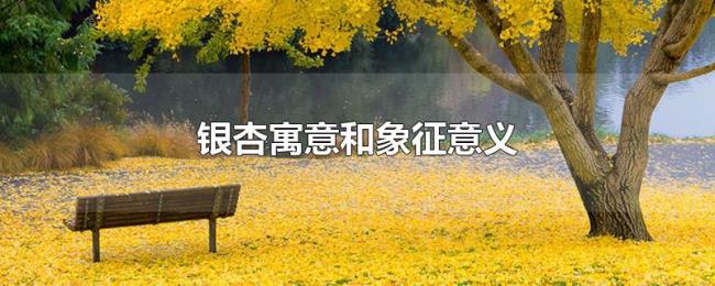 银杏寓意和象征意义