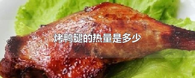 烤鸭腿的热量是多少