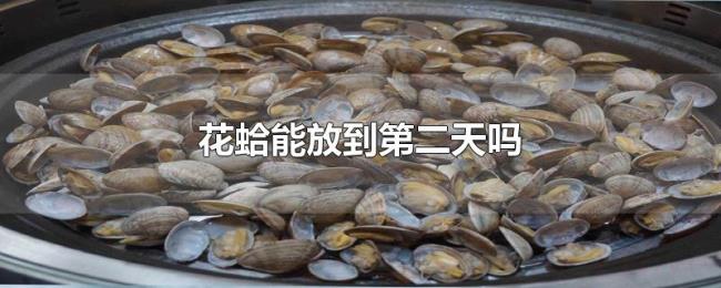 花蛤能放到第二天吗