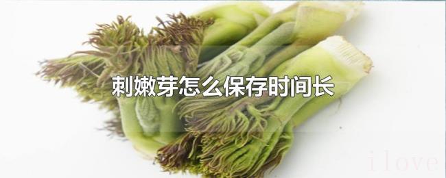 刺嫩芽怎么保存时间长