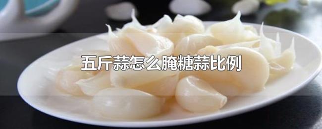 五斤蒜怎么腌糖蒜比例