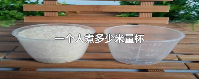 一个人煮多少米量杯