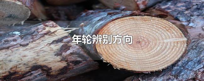 年轮辨别方向