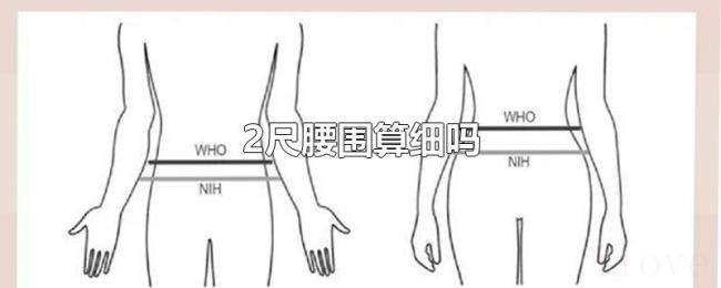 2尺腰围算细吗 2尺腰围算细吗