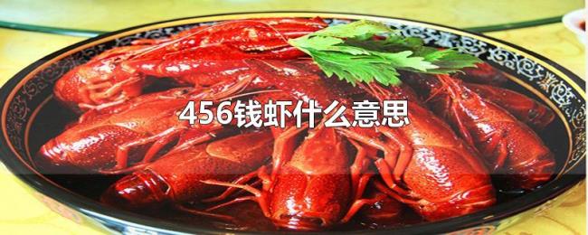456钱虾什么意思 456钱虾什么意思