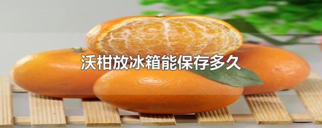 沃柑放冰箱能保存多久