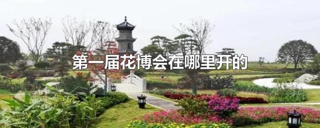 第一届花博会在哪里开的