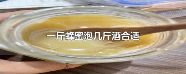 一斤蜂蜜泡几斤酒合适