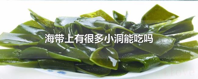 海带上有很多小洞能吃吗