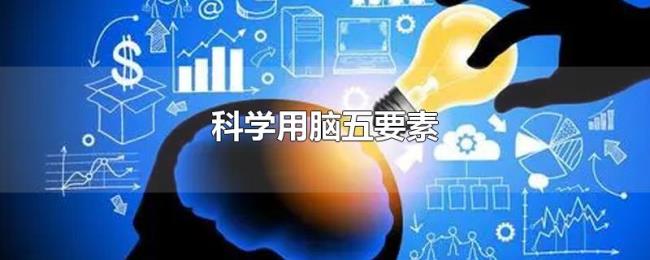 科学用脑五要素 科学用脑五要素