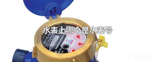 水表上哪个是水表号 水表上哪个是水表号